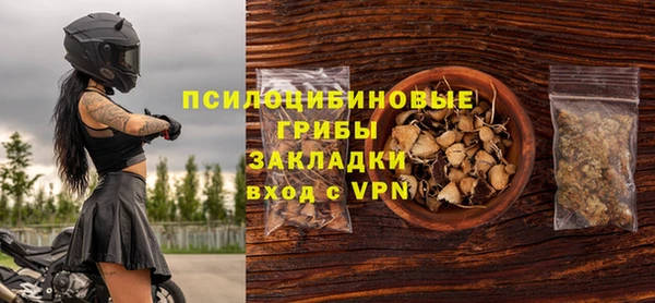 мдпв Карталы