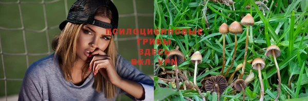 мет Карпинск