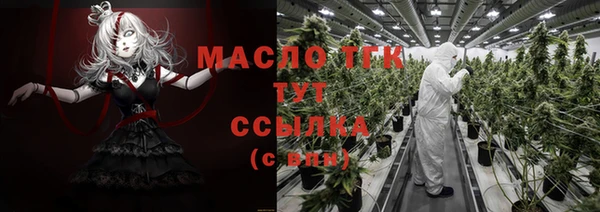 мет Карпинск