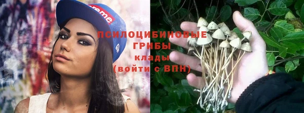 мдпв Карталы