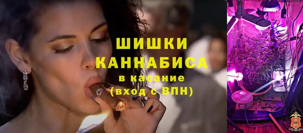 мет Карпинск